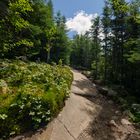 Parc National Malbaie Kanada