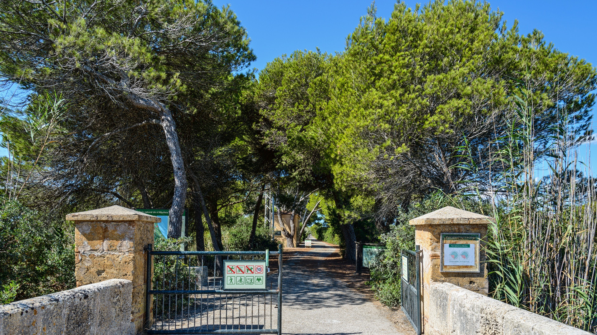 Parc natura de s `Albufera de Mallorca