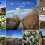 PARC NATURAL DE S'ALBUFERA