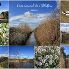 PARC NATURAL DE S'ALBUFERA