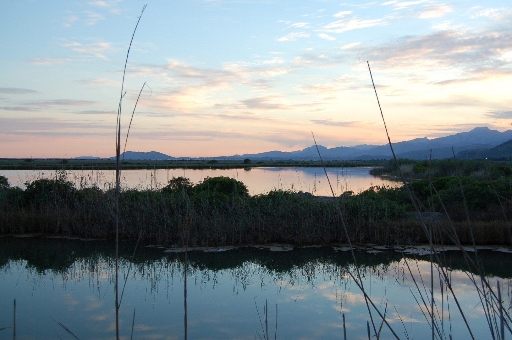 Parc natural de s’Albufera de Mallorca.