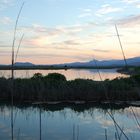 Parc natural de s’Albufera de Mallorca.