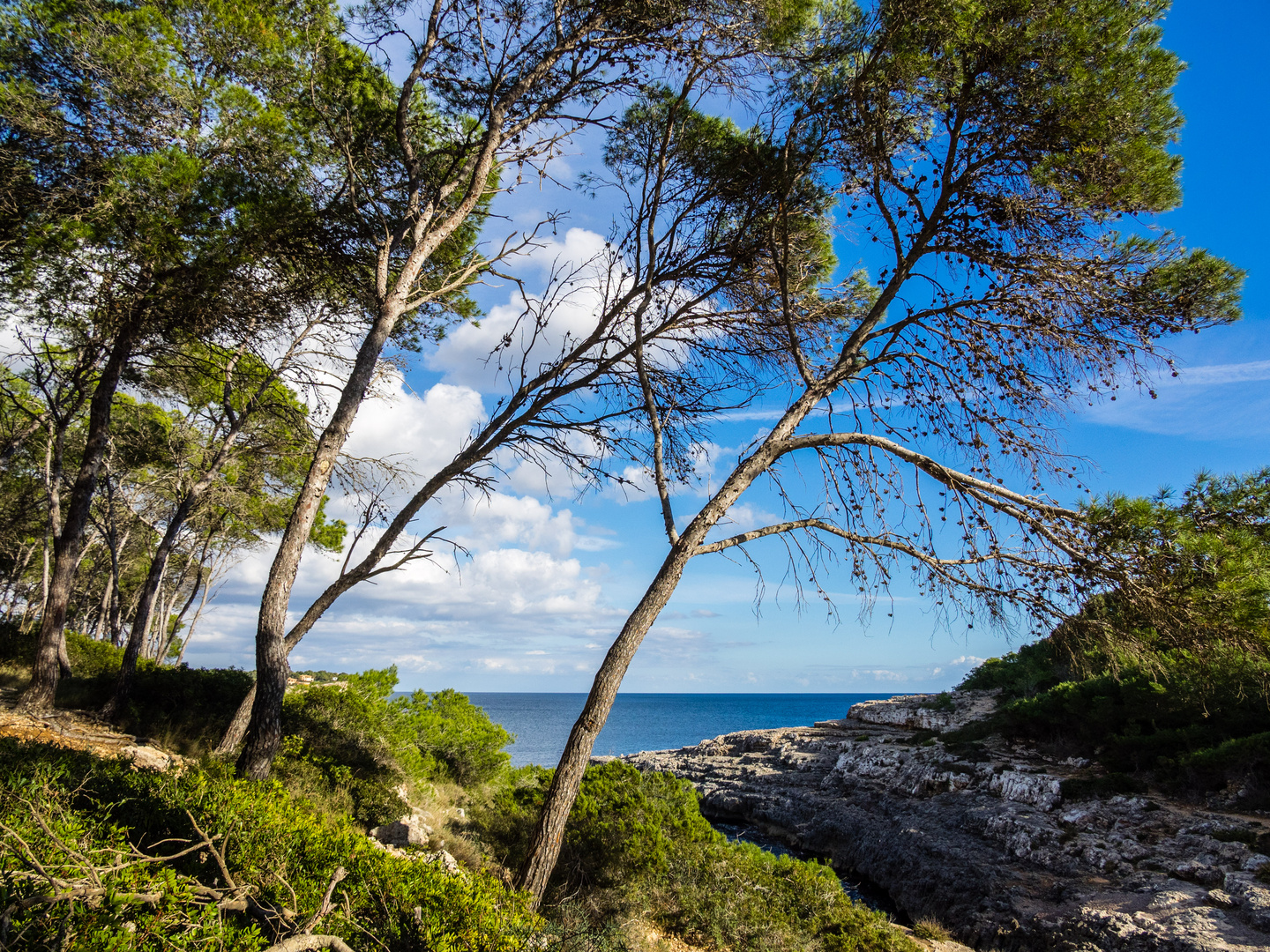 Parc natural Mondrago