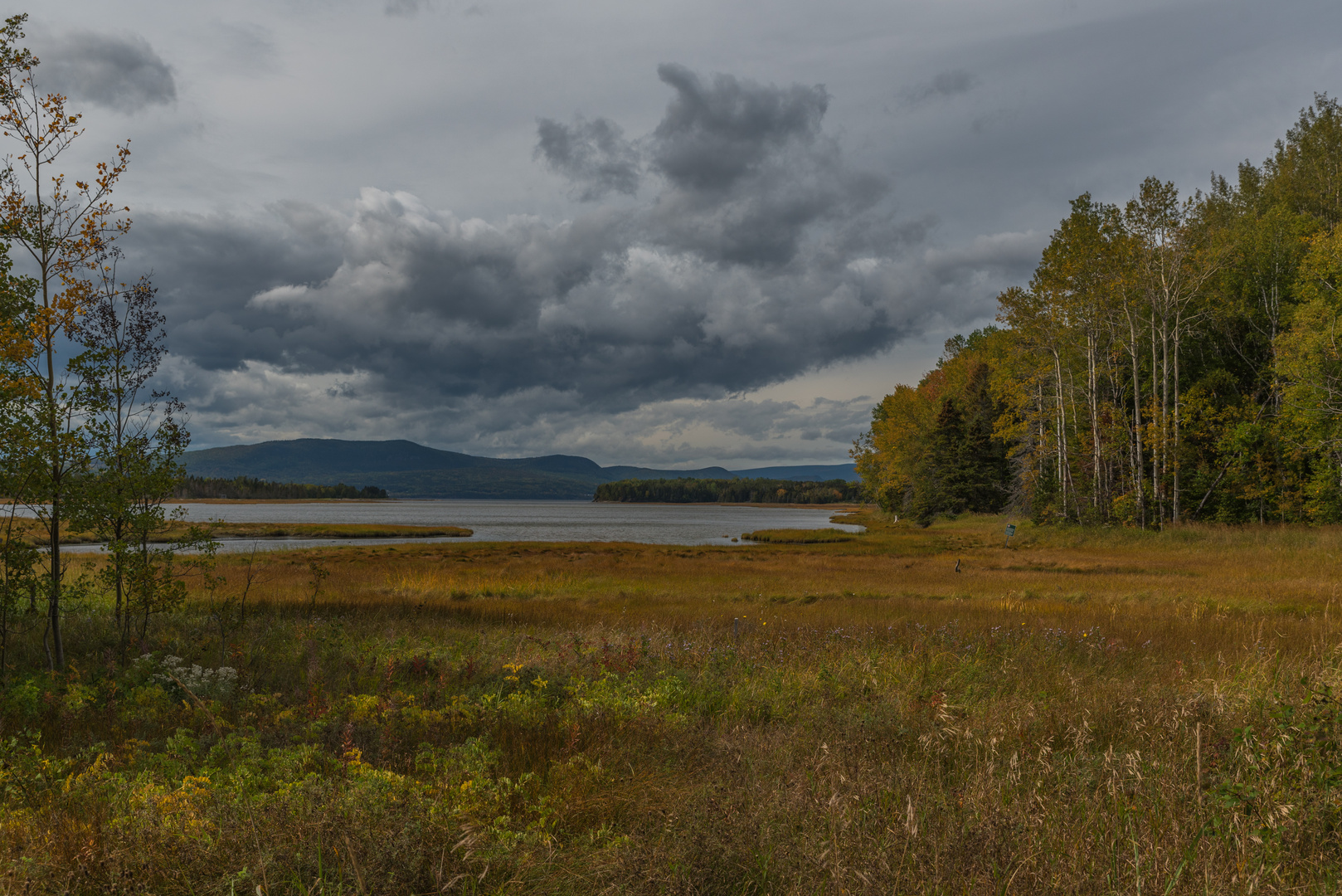 Parc Nature Gaspé