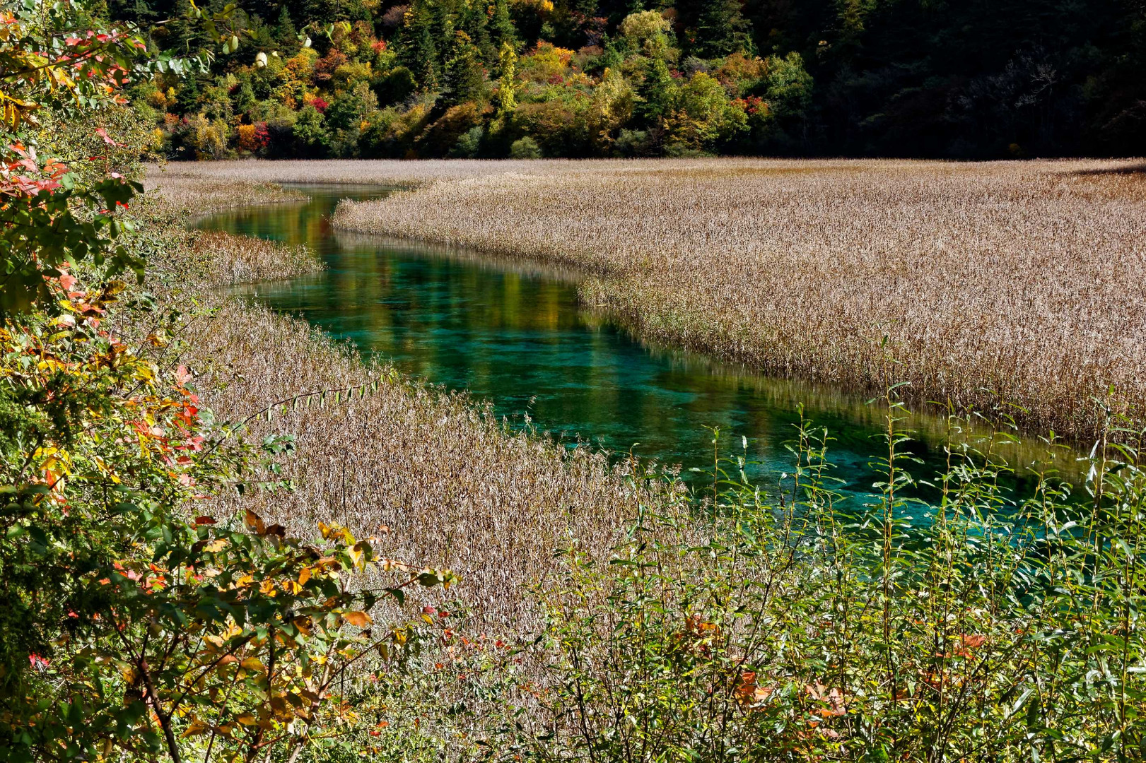 Parc naturel de Jiuzgaigou, Sichuan, Chine.