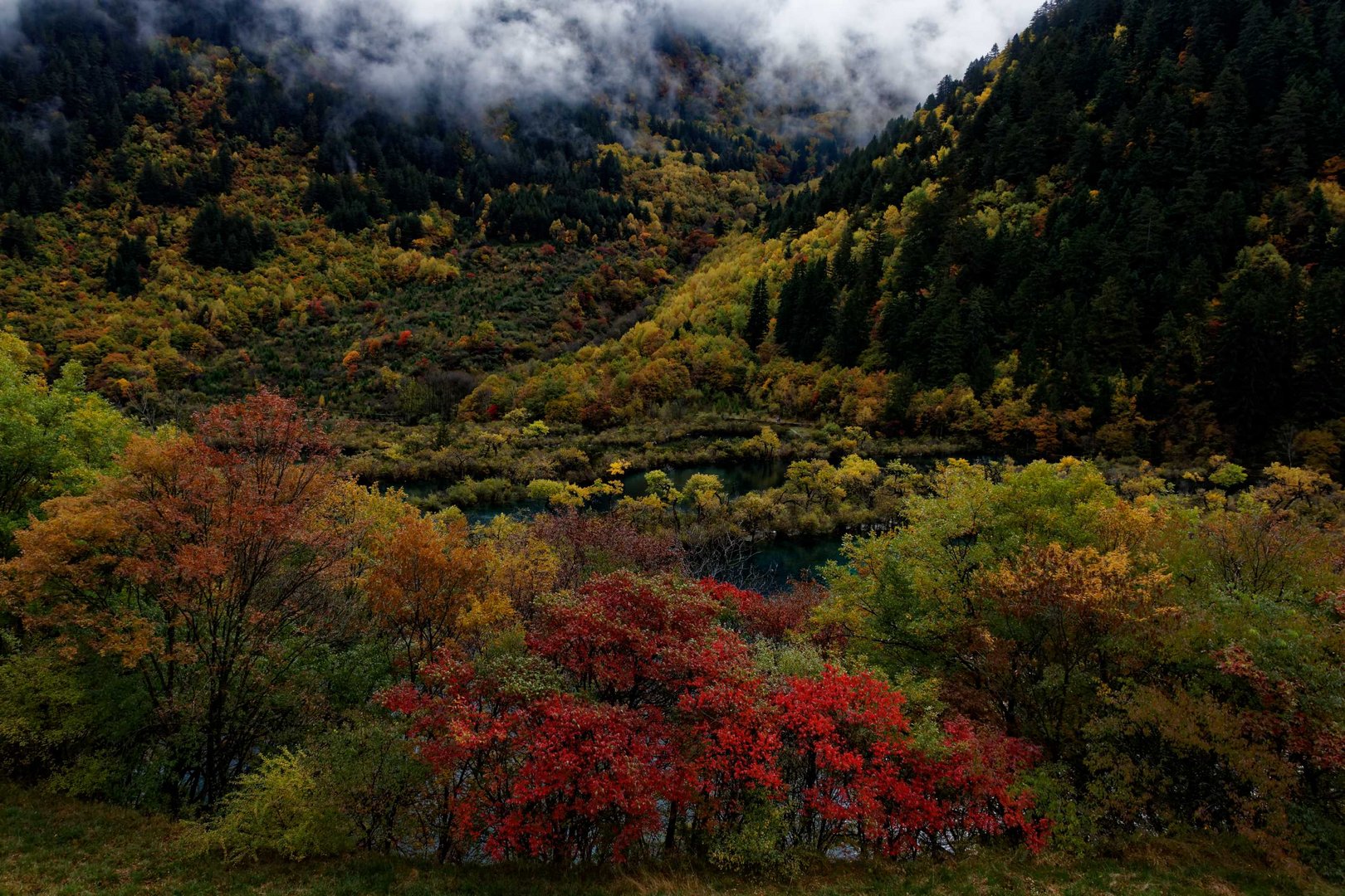 Parc naturel de Jiuzhaigou, Sichuan.