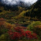 Parc naturel de Jiuzhaigou, Sichuan.