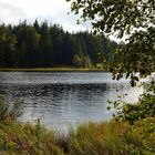 Parc naturel des Hautes Fagnes-Eifel