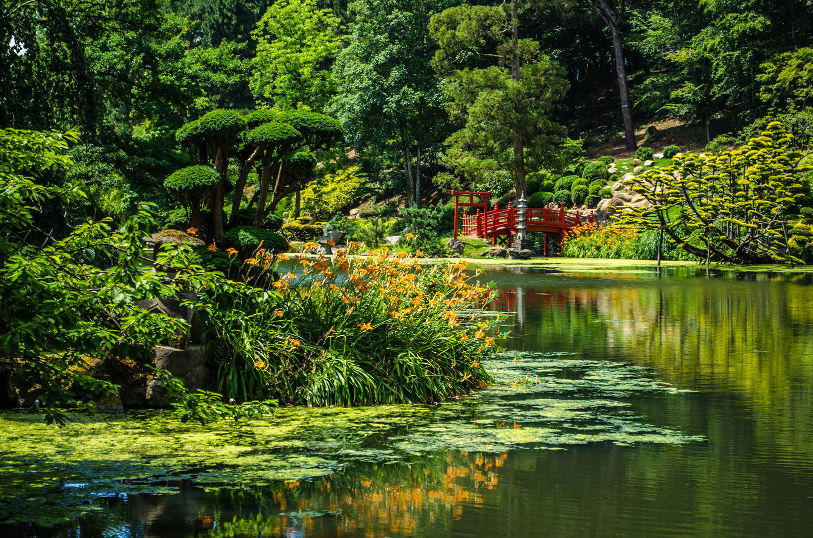 Parc Oriental de Maulévrier