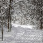 Parc Pointe au Tremble