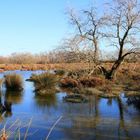 Parc régional de Camargue