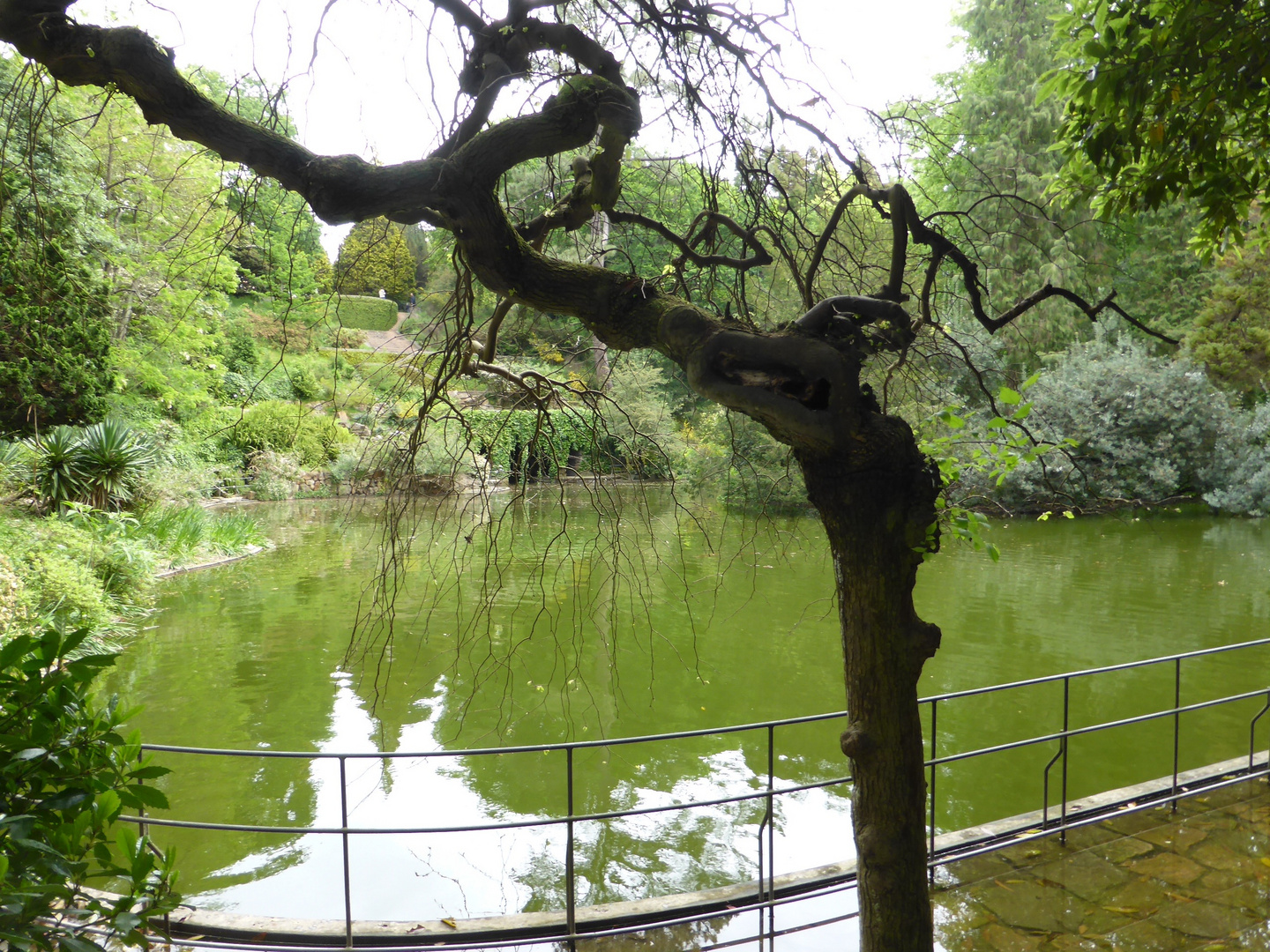 Parc Serralves à Porto