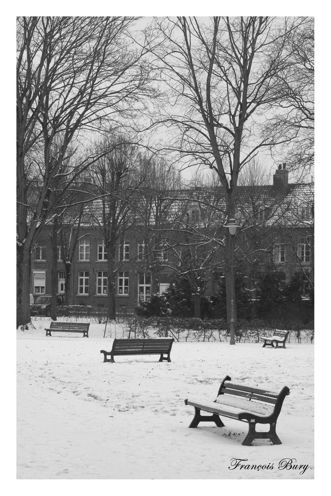 Parc sous la neige