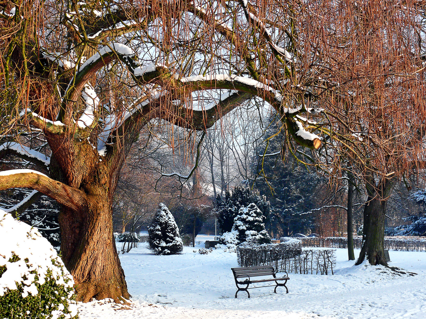 Parc sous la neige