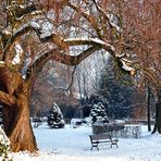 Parc sous la neige