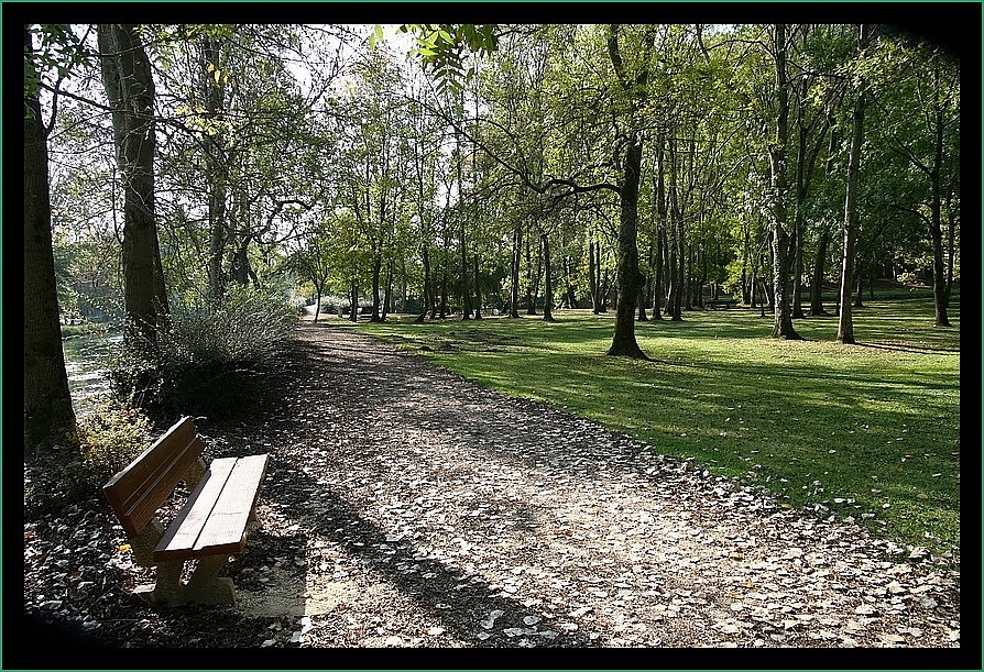 Parc sous les feuilles