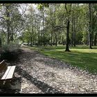 Parc sous les feuilles