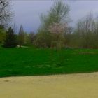 PARC SOUS UN CIEL D'ORAGE 21