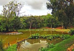 Parc zoologique et forestier de Nouméa - Zoologischer Forstpark von Nouméa