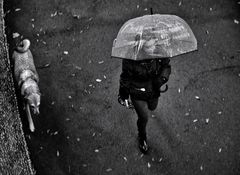 Parce que je n'ai pas un parapluie?