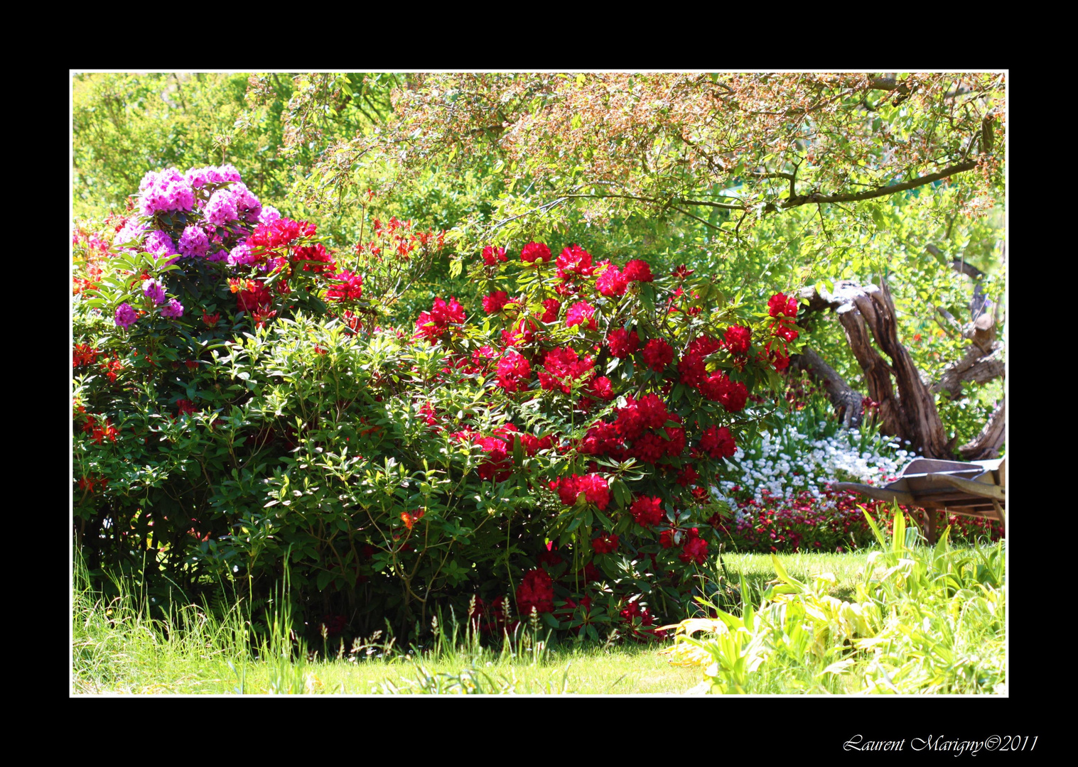 Parcelle de nature.