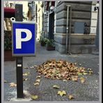 PARCHEGGIO AUTUNNALE