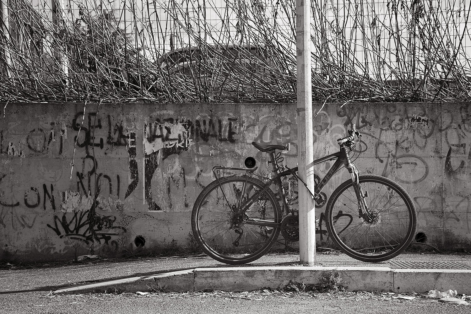 Parcheggio custodito