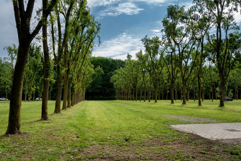 Parcheggio del parco, Monza