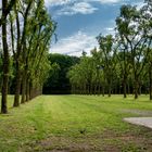 Parcheggio del parco, Monza