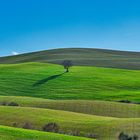 Parco Artistico Naturale e Culturale della Val D'orcia