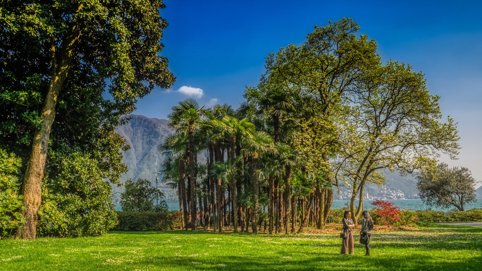 Parco Ciani 