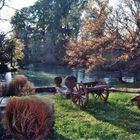 Parco del fiume Stella - Ariis (Udine)