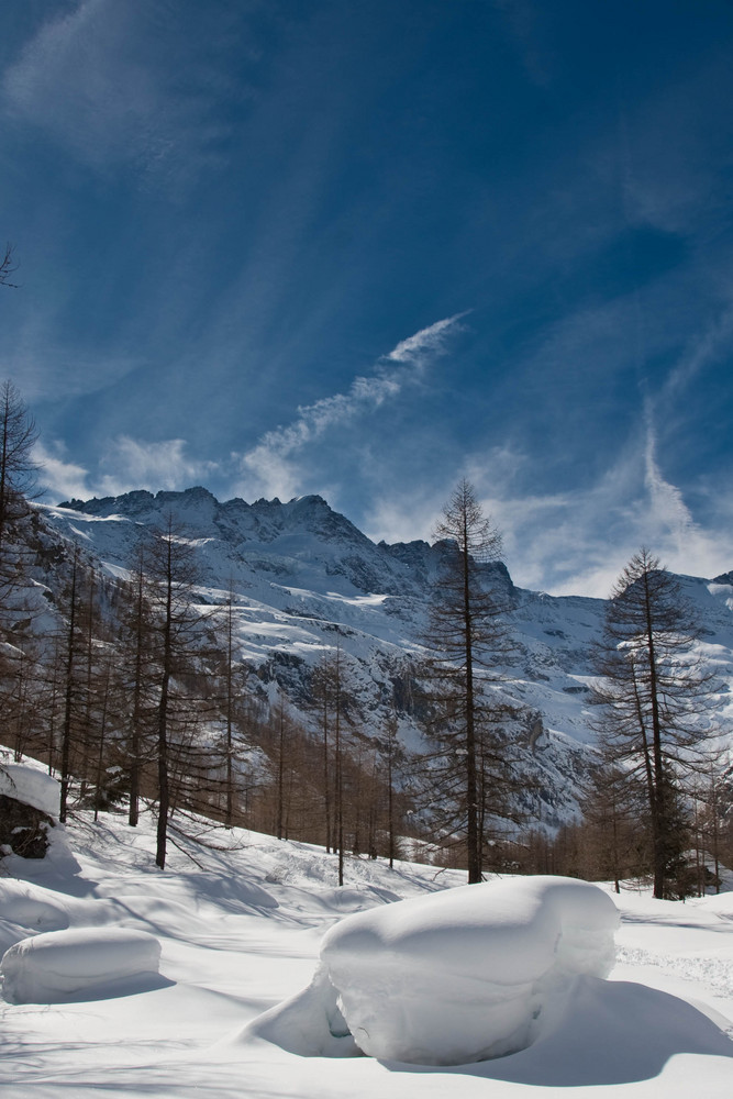 Parco del GRan Paradiso