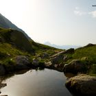 Parco del tessa , alto adige (2100m)