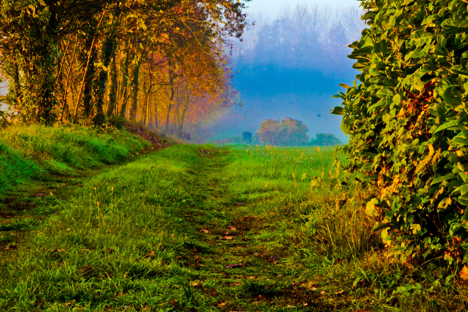 parco del Ticino