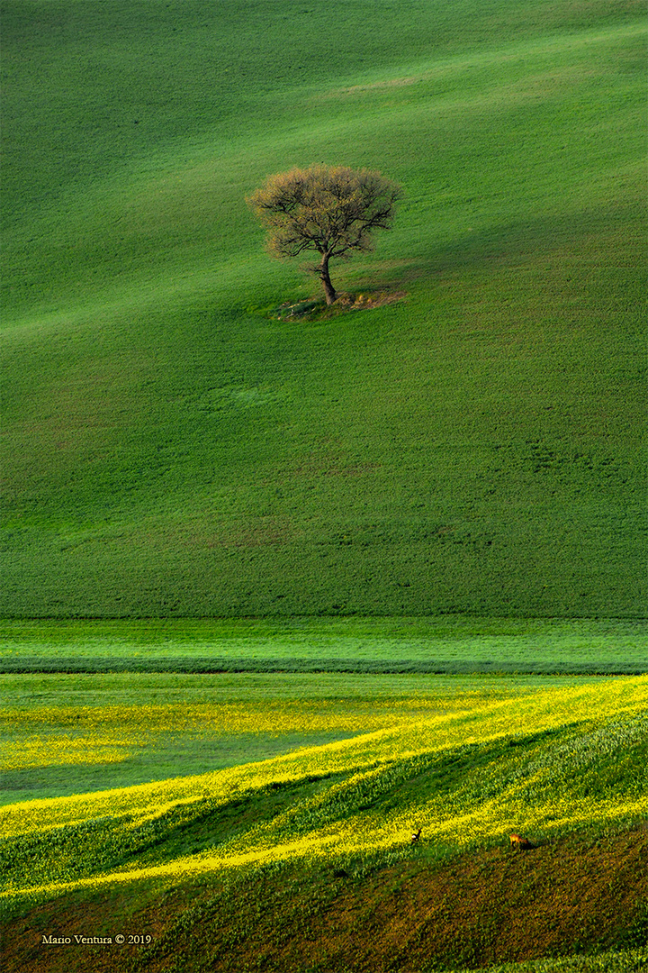 Parco della Val D'Orcia  Parco Artistico Naturale e Culturale della Val D'Orcia