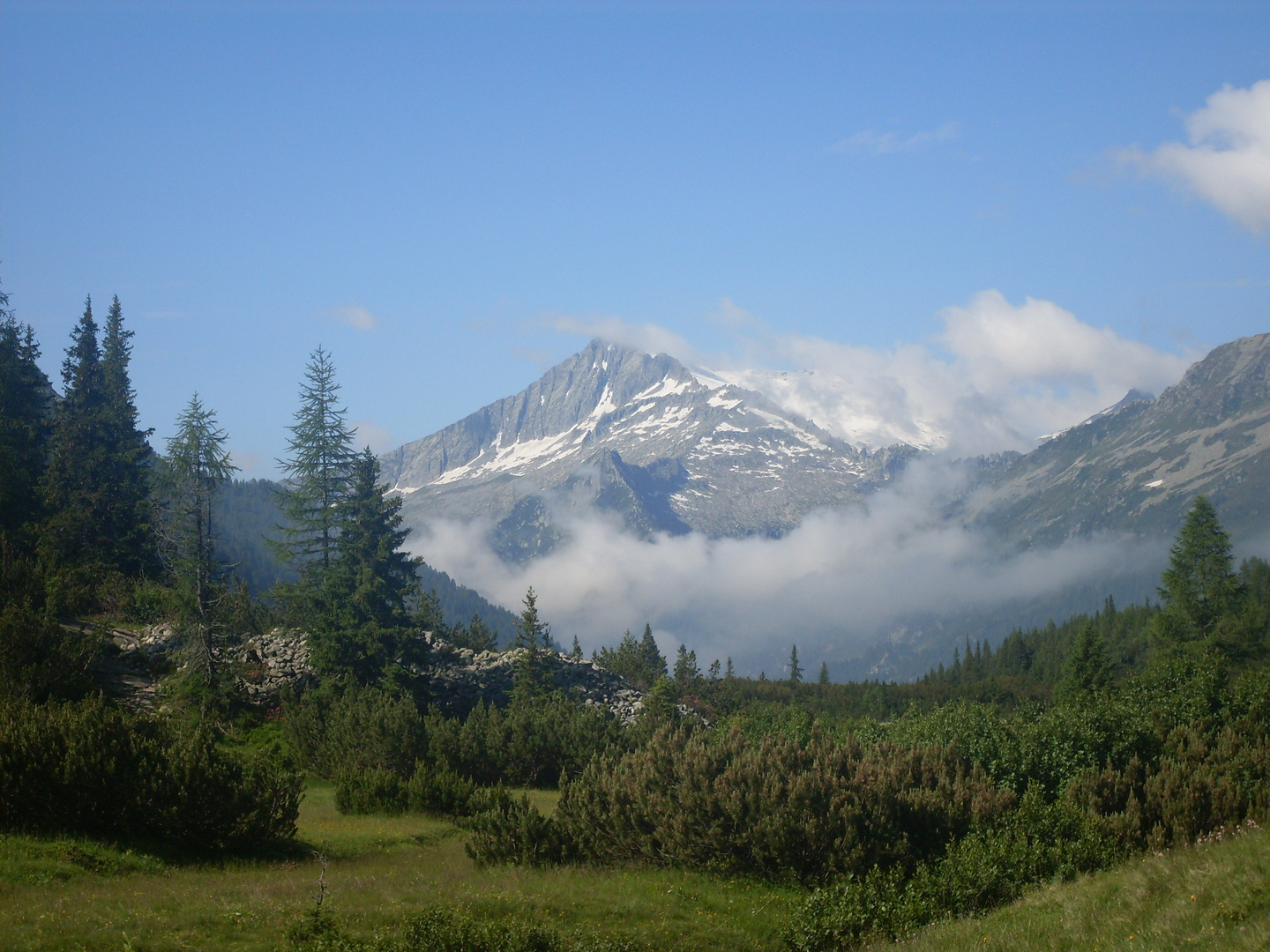 Parco dell'Adamello