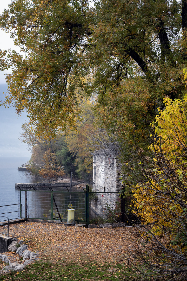 Parco delle fornaci, foliage