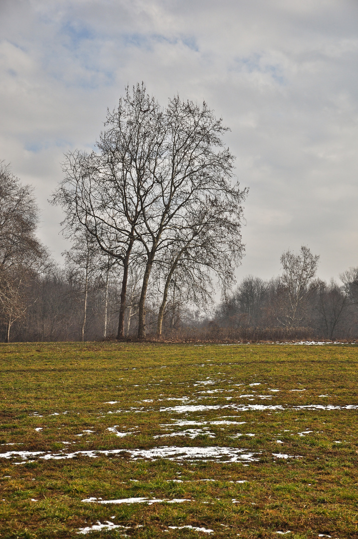 Parco delle Groane