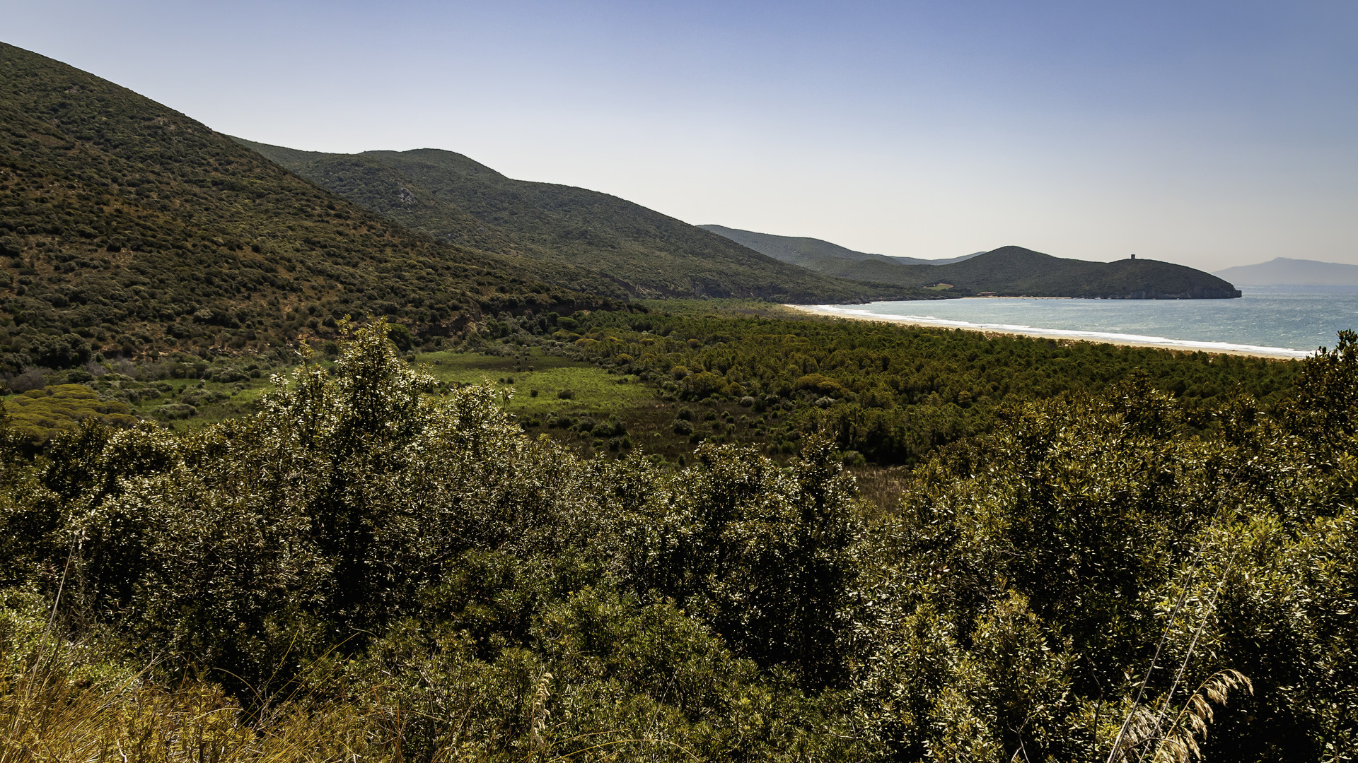 Parco dell`Uccellina