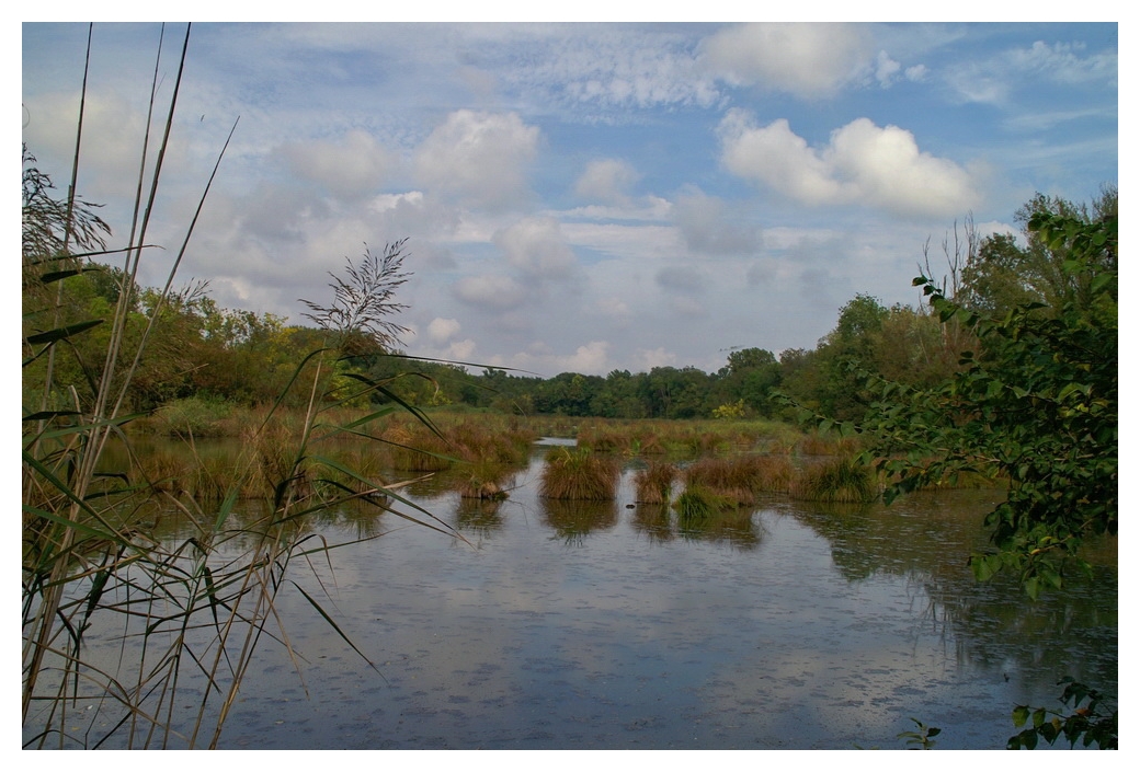 Parco Delta Po di Volano