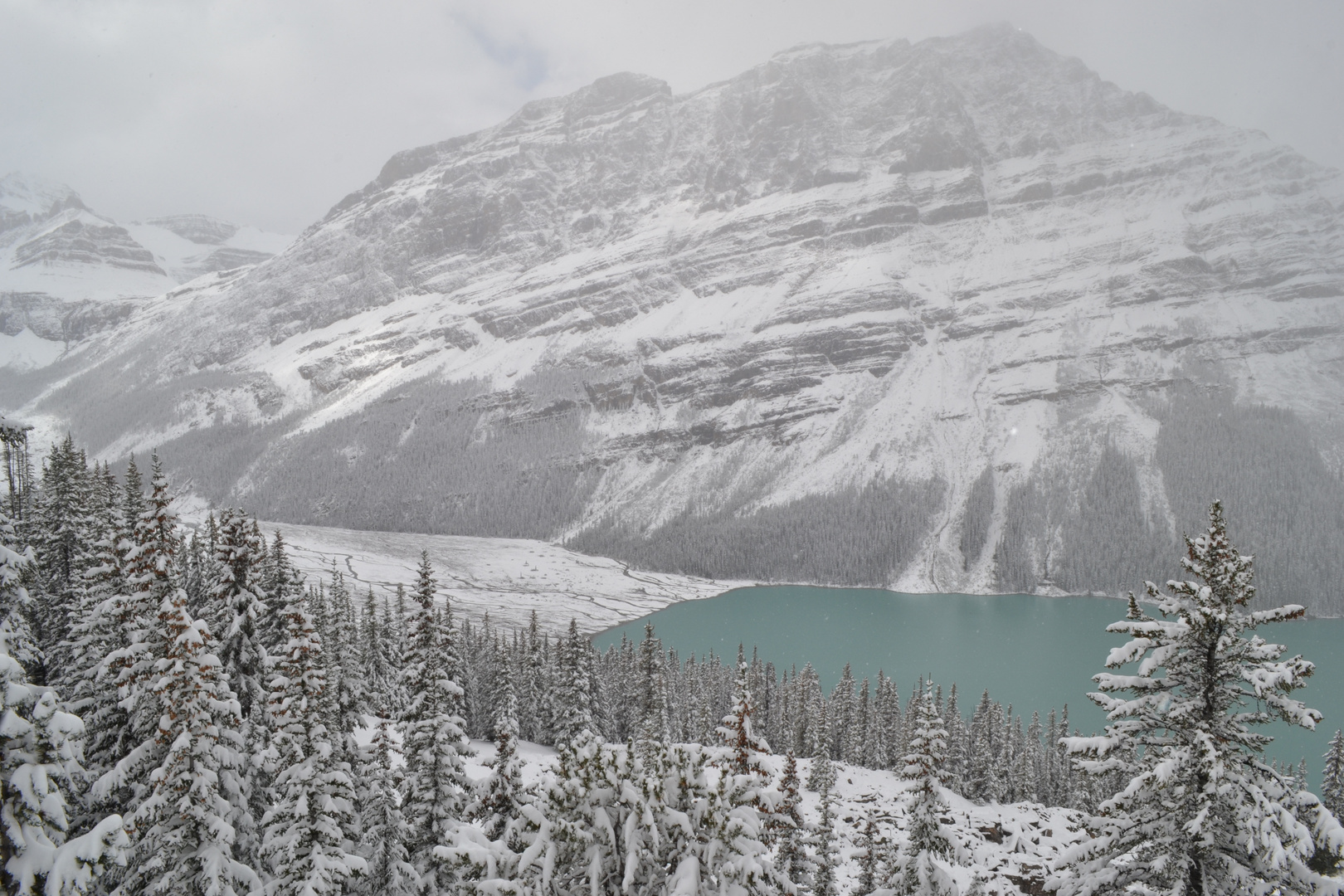 Parco di Banff