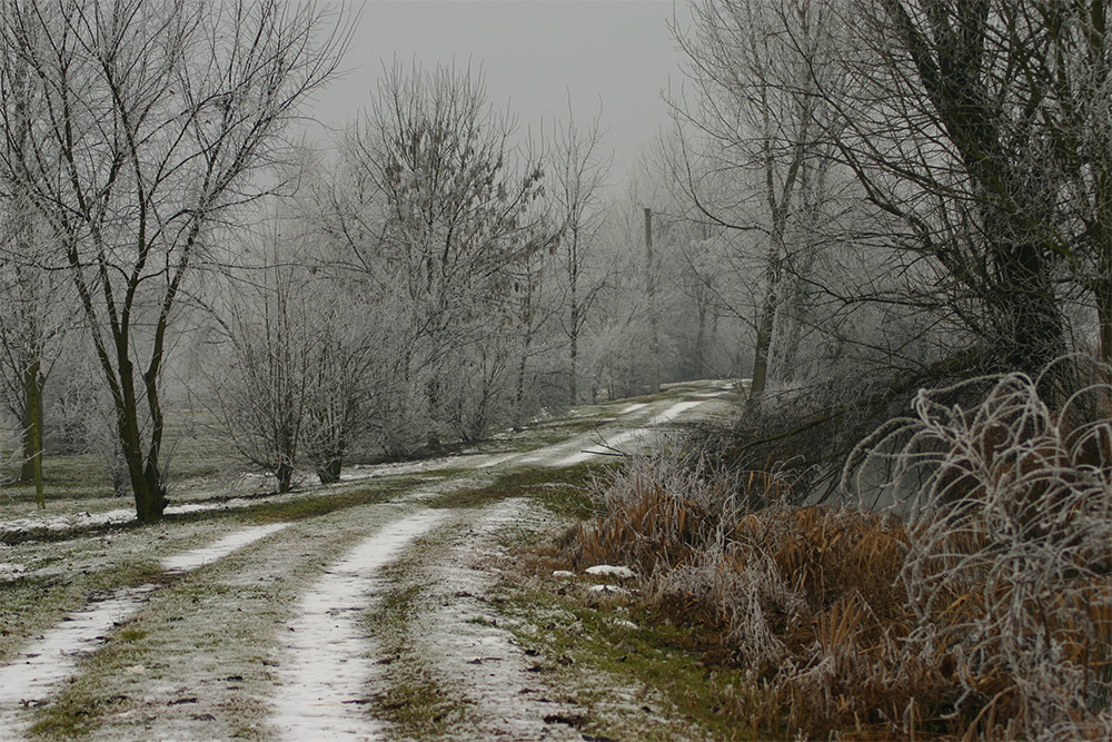 Parco di Erbé