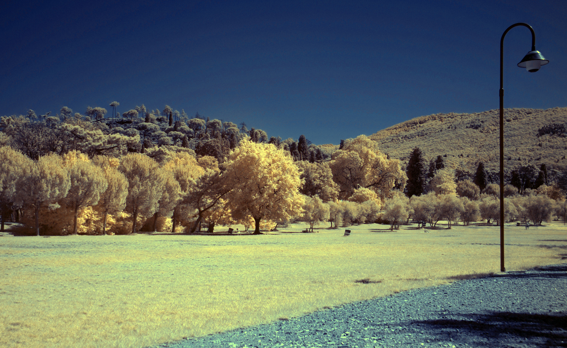 Parco di Galceti