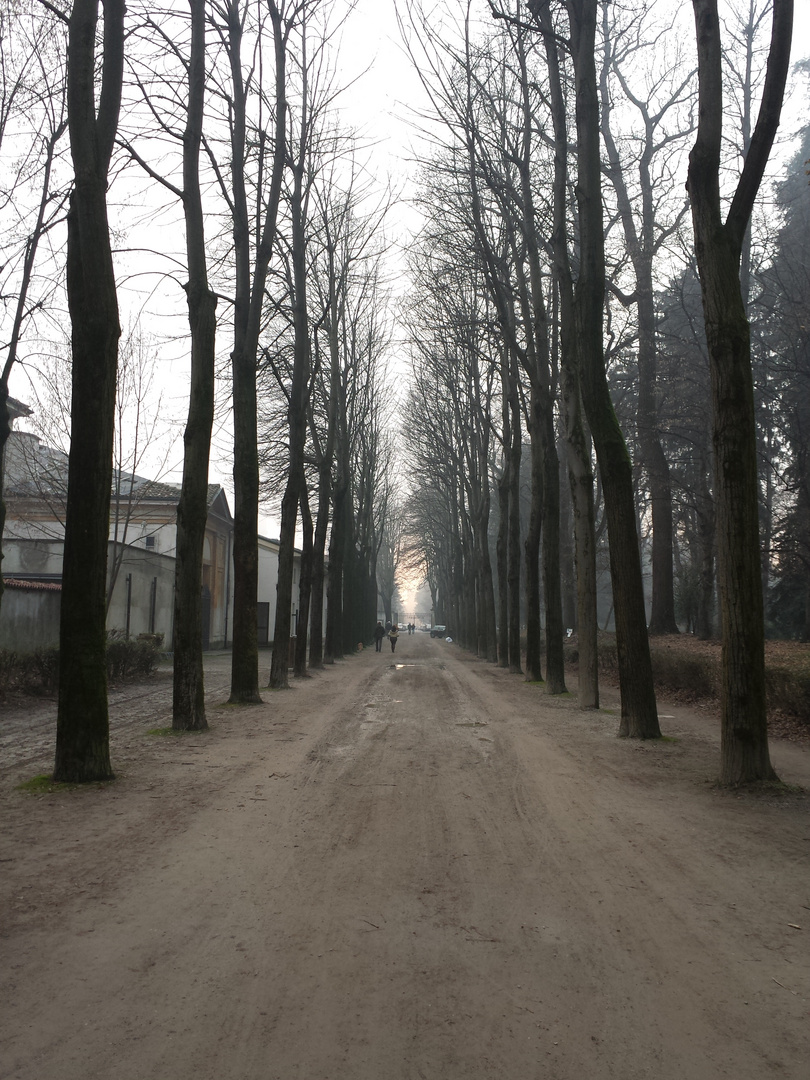 Parco di Monza