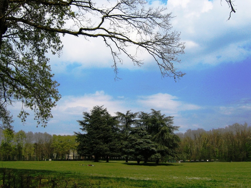 Parco di Monza - ::: Pisolino al sole :::