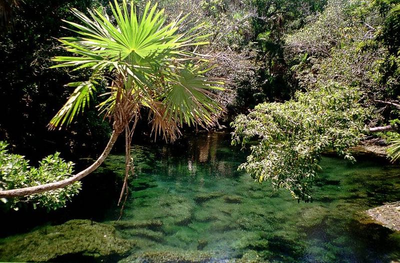 Parco di Xel - Hà Un cenote