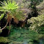 Parco di Xel - Hà Un cenote