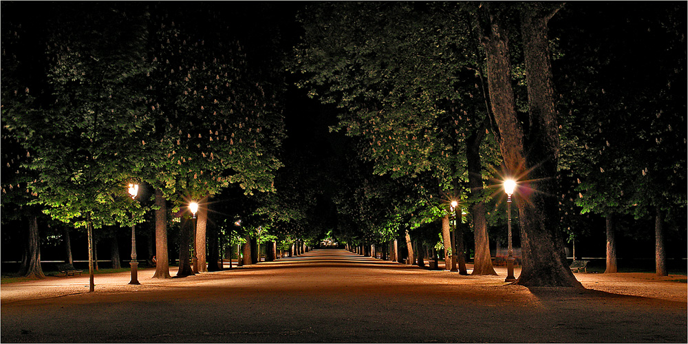 :: Parco ducale di notte ::