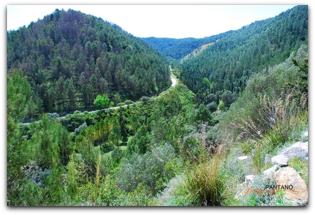 Parco Forestale Demanio Canalazzo a Monterosso Almo